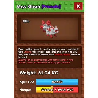 60.91kg Kitsune - Nocturnal mutation - GAG