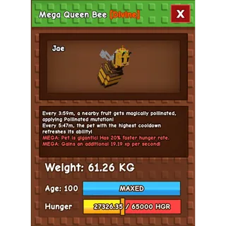 61.26KG Mega Queen Bee