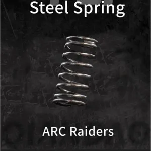 Steel spring 100 ×