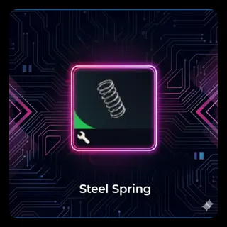Steel spring 100×