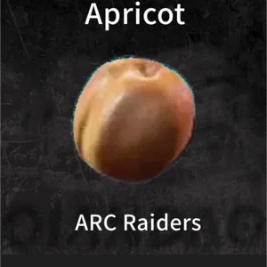 Apricot 12×