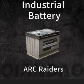 Industrial battery 6×
