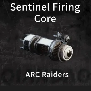 Sentinel firing core 10×