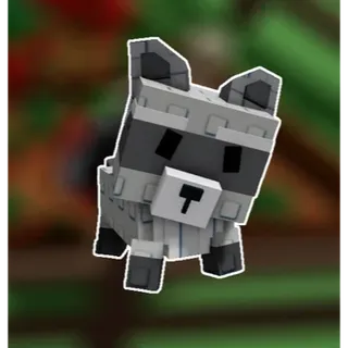 Grow a garden 2 raccoon