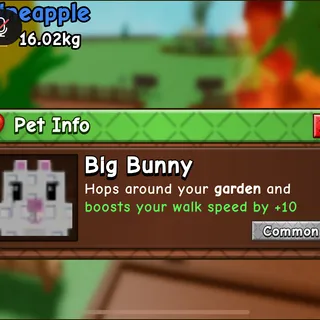 big bunny gag2