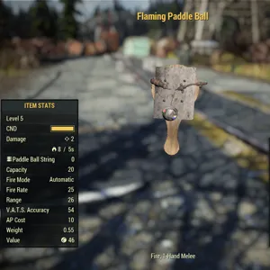Flaming Paddle Ball