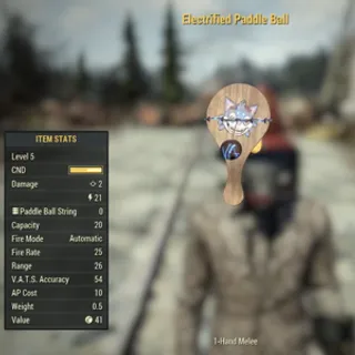 Electrified Paddle Ball