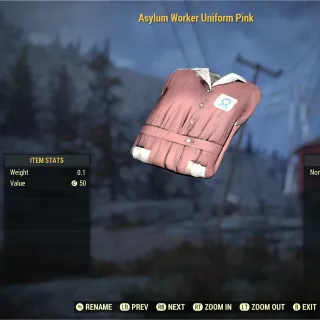 Apparel | Pink Asylum Uniform