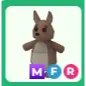 MFR KANGAROO