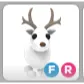 FR ARCTIC REINDEER