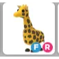 FR GIRAFFE