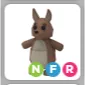 NFR KANGAROO