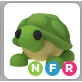 NFR TURTLE