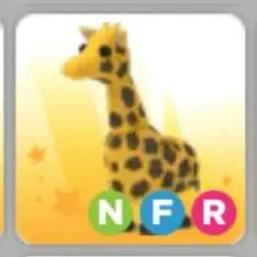 NFR GIRAFFE