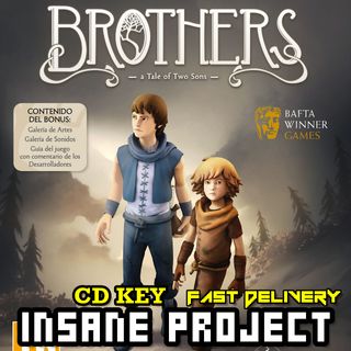 Brothers A Tale Of Two Son Steam Games Gameflip