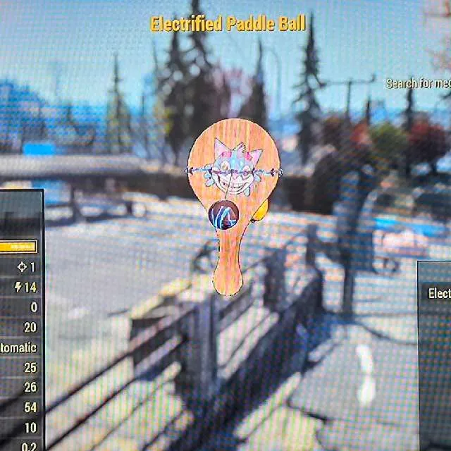 出品写真