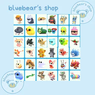 Randoms Pet Bundle