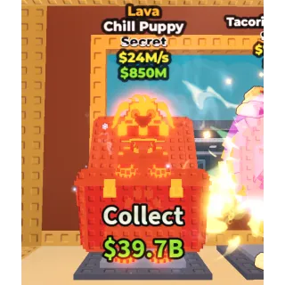 LAVA CHILL PUPPY 24M/s 🌋 (FAST DELIVERY!!!)