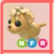 NFR - Lion Cub