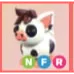 NFR - Mini Pig