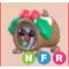 NFR - Yule Log Dog