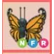 NFR - Orange Butterfly