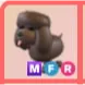 MFR - Irish Water Spaniel
