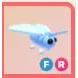 FR - Glacier Moth