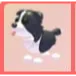 ADOPT ME