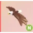 NEON - Bald Eagle