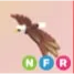 NFR - Bald Eagle