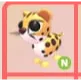 NEON - Cheetah