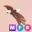 MFR - Bald Eagle
