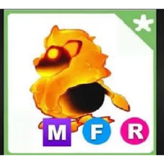 mfr blazing lion