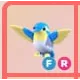 FR - Diamond Hummingbird