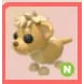 NEON - Lion Cub