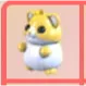 Golden Hamster
