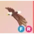 FR - Bald Eagle