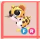 FR - Cheetah