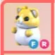 FR - Golden Hamster