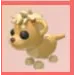 Lion Cub