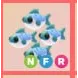 NFR - Many Mackerel