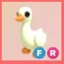 FR - Goose