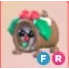 ADOPT ME
