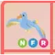 NFR - Diamond Albatross