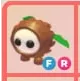 FR - Coconut Friend