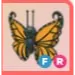 FR - Orange Butterfly