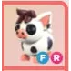 FR - Mini Pig