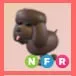 NFR - Irish Water Spaniel