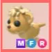 MFR - Lion Cub